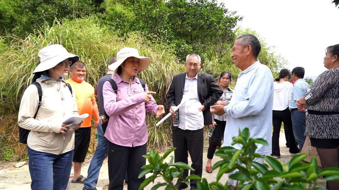 县农业农村局：“田间课堂”送上柑橘病虫害防治“金点子”