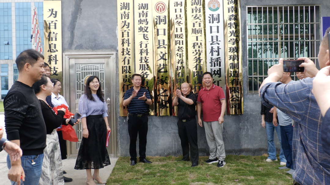洞口县文艺家之家揭牌仪式暨本土作家林目清新书发布会顺利举行(图2)
