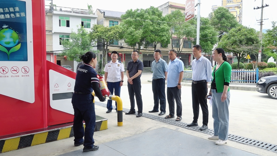 罗颢督导检查端午节前安全生产工作(图1)