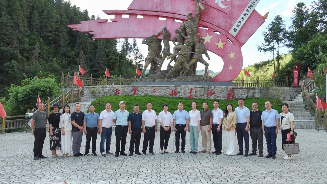 永州市政协调研组到洞口县调研茶产业发展(图1)