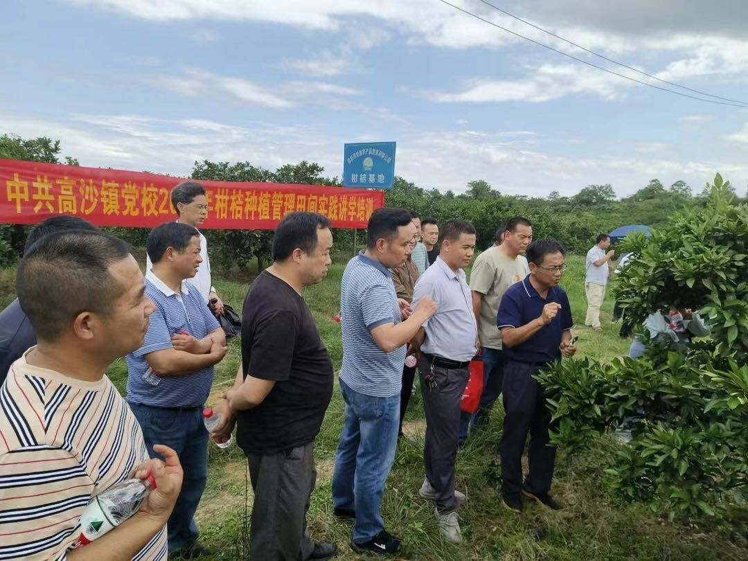 高沙镇：聚焦“三力” 全面提升服务群众水平
