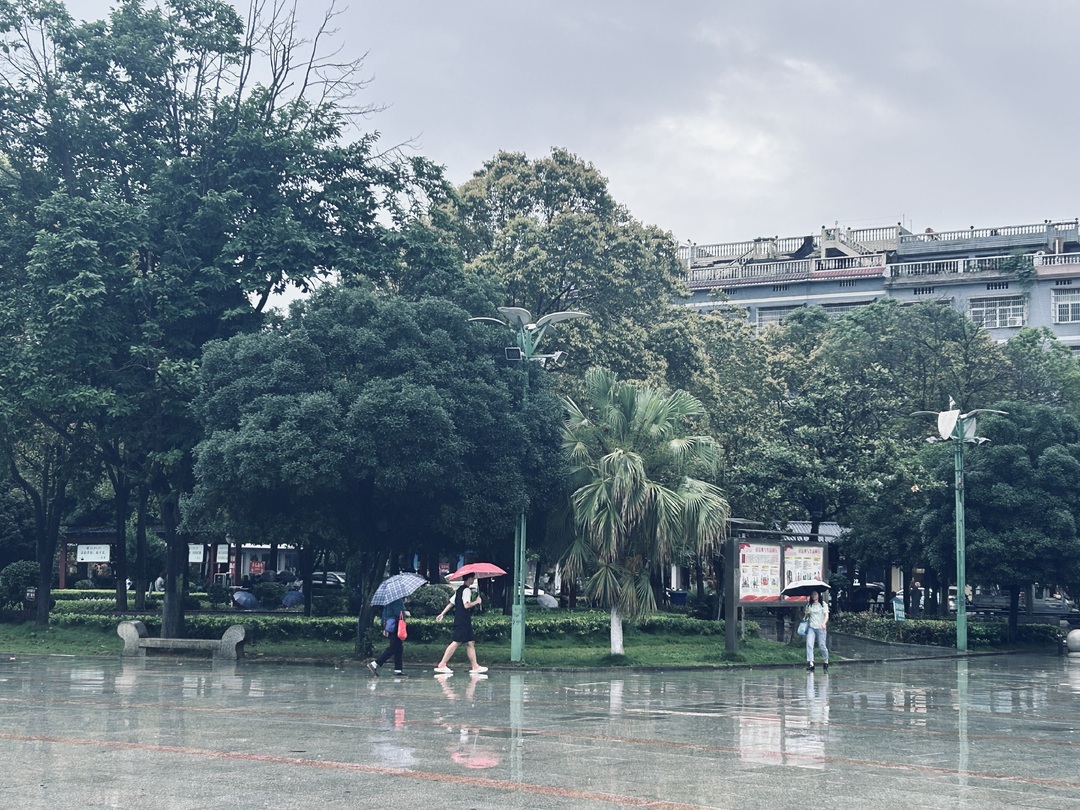 未来一周 洞口县降水频繁(图2)