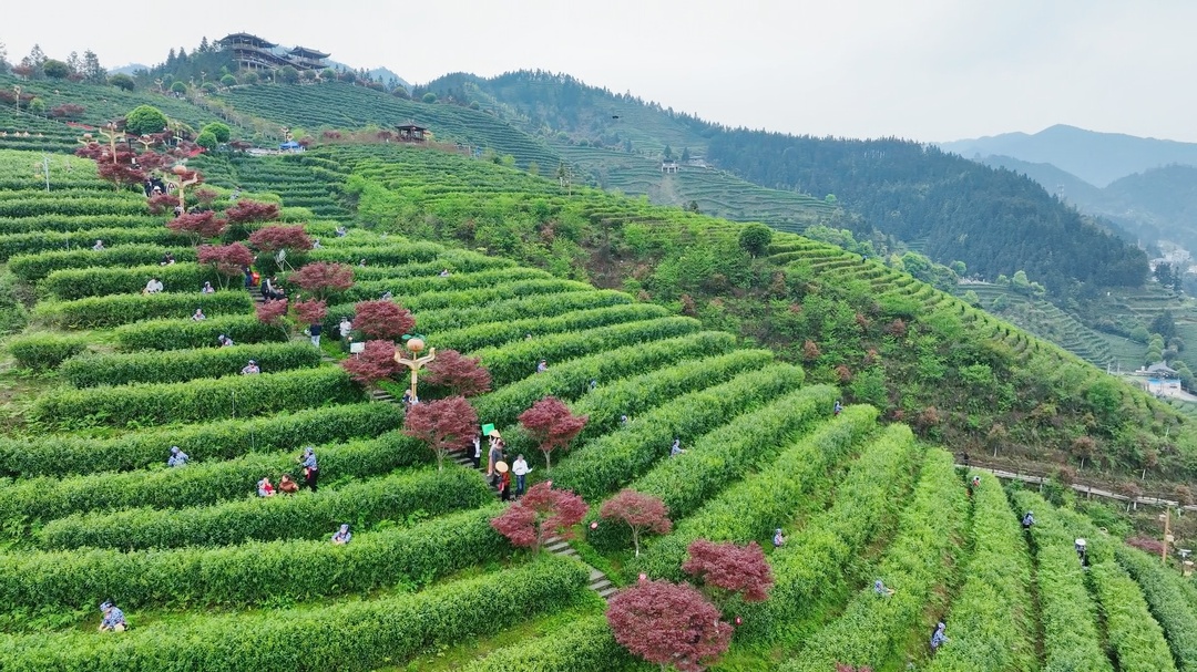 洞口：全域旅游焕发勃勃生机(图1)