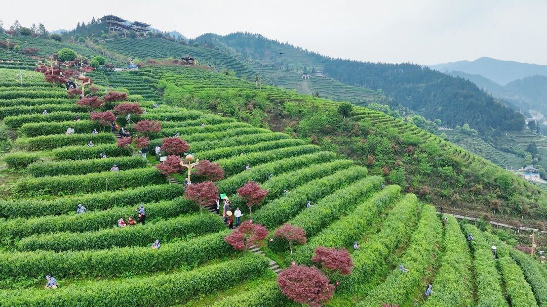 洞口：全域旅游焕发勃勃生机
