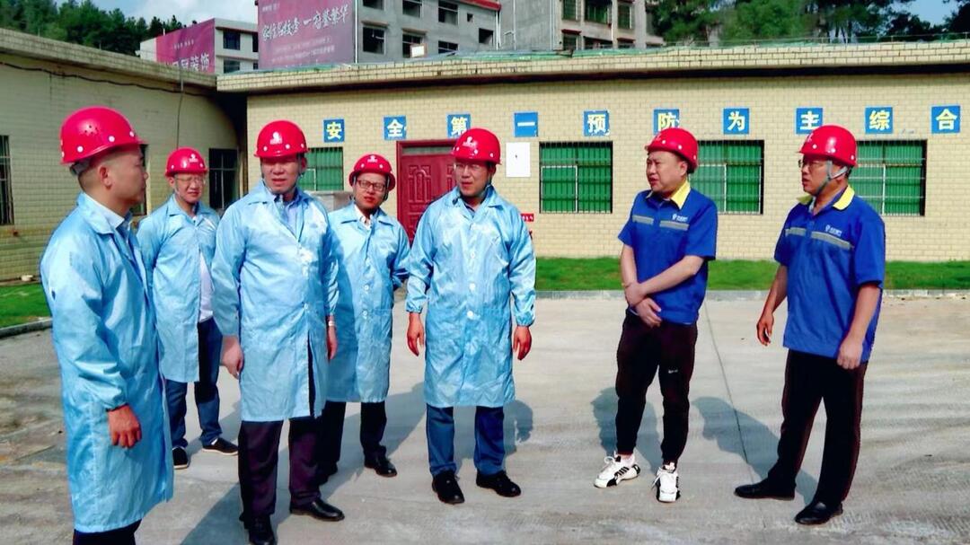 推动各项工作快落地真落实早见效  龚红果到洞口县调研督导当前重点工作  (图2)