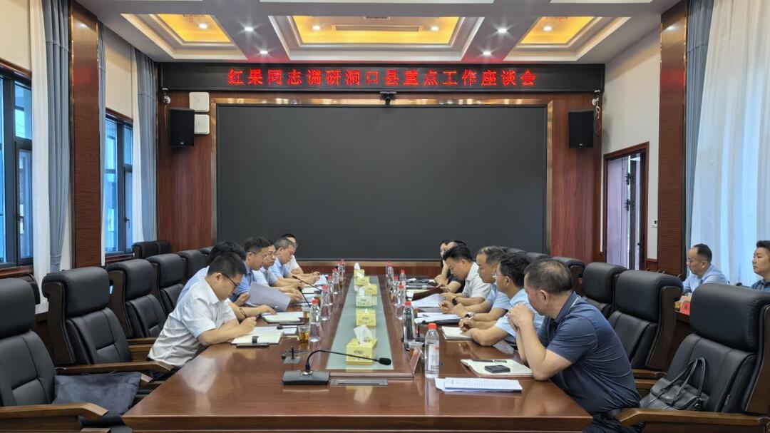 推动各项工作快落地真落实早见效  龚红果到洞口县调研督导当前重点工作  (图3)