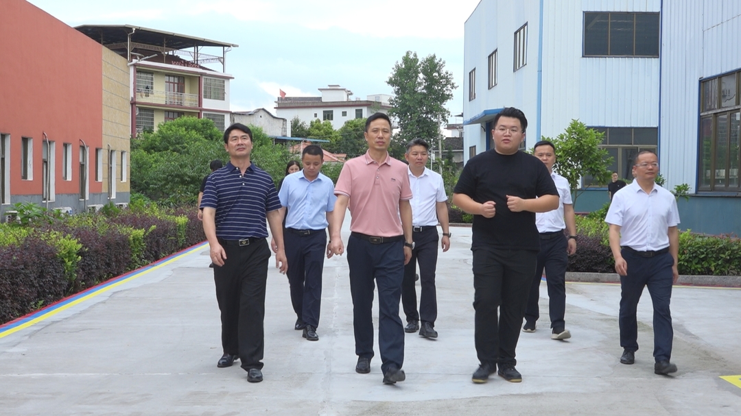胡小刚到洞口县调研企业工作(图3)