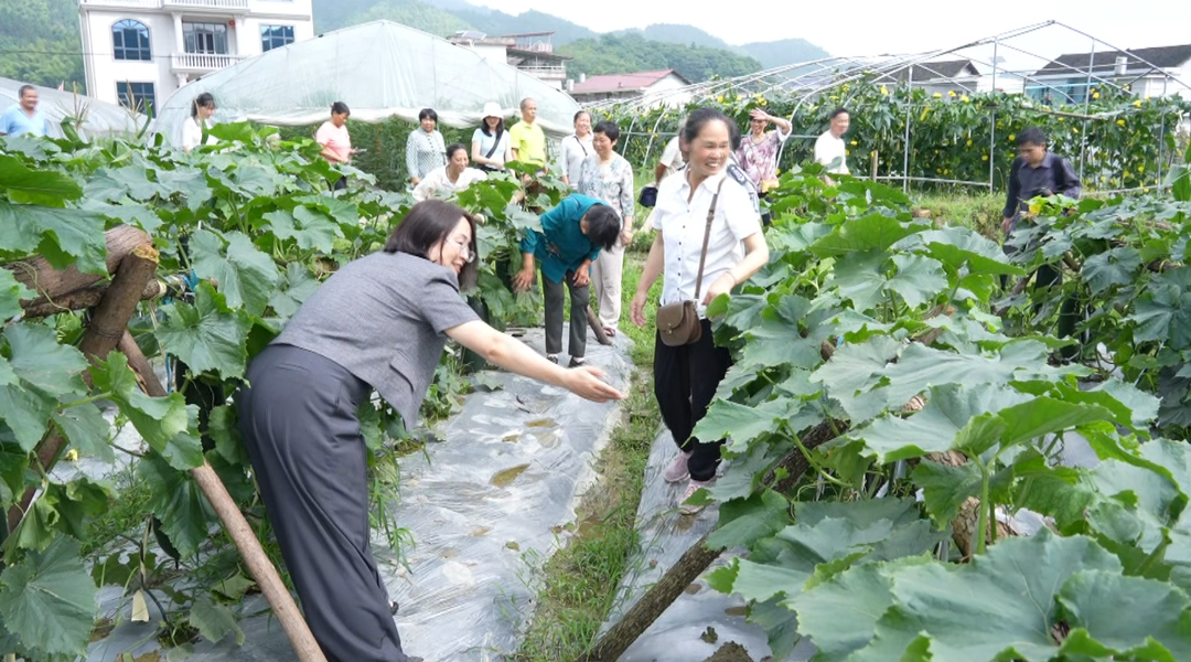 洞口：实施阳光增收计划 拓宽残疾人致富路(图2)