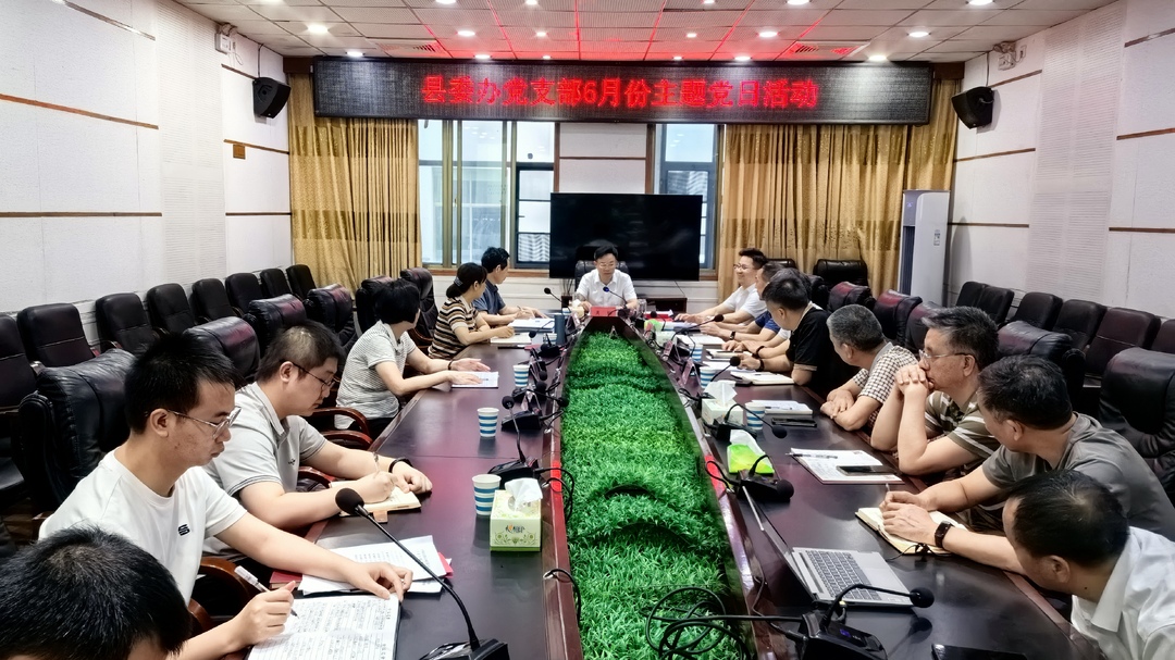 ﻿吴韬以普通党员身份参加县委办6月主题党日活动