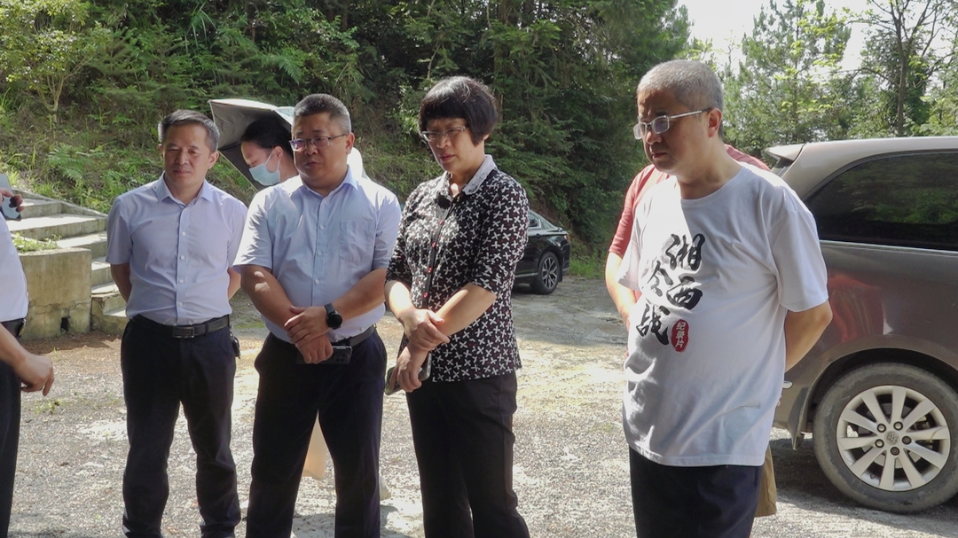 丰新妹带队到洞口县开展加快推进雪峰山区域国家抗战公园建设课题调研(图2)