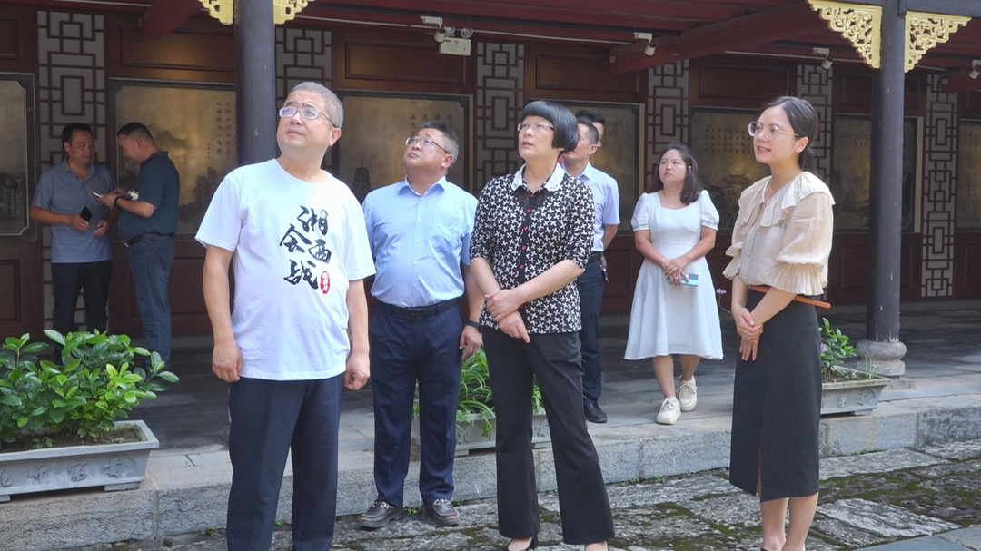 丰新妹带队到洞口县开展加快推进雪峰山区域国家抗战公园建设课题调研(图1)