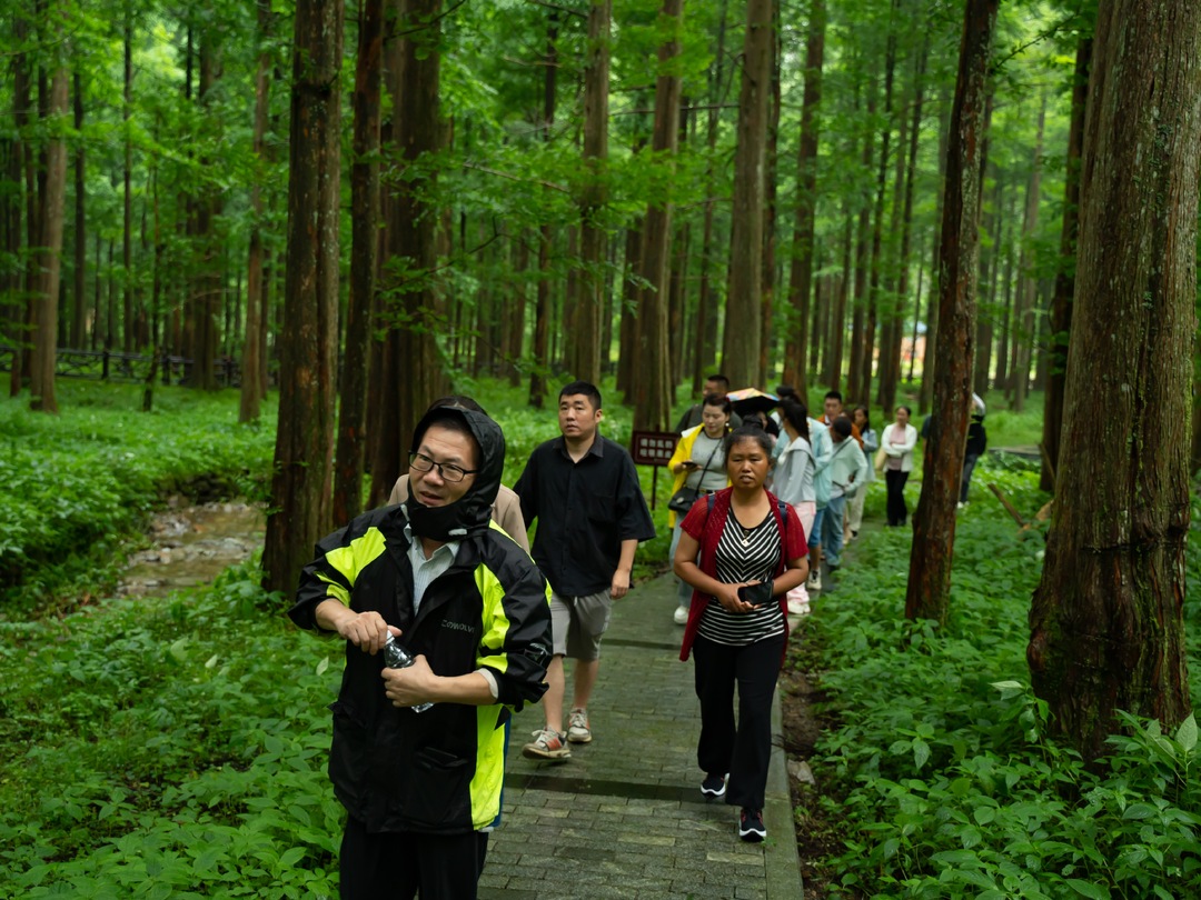 县网络人士联谊会到龙坪山开展文旅融合调研活动(图2)