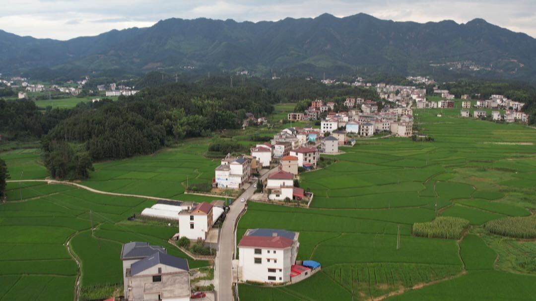 花古街道正龙村：精心绘制美丽乡村“新画卷”