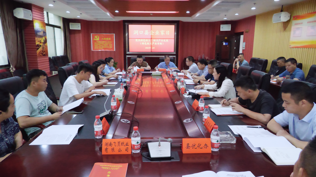 洞口县举行6月“企业家日”活动(图1)