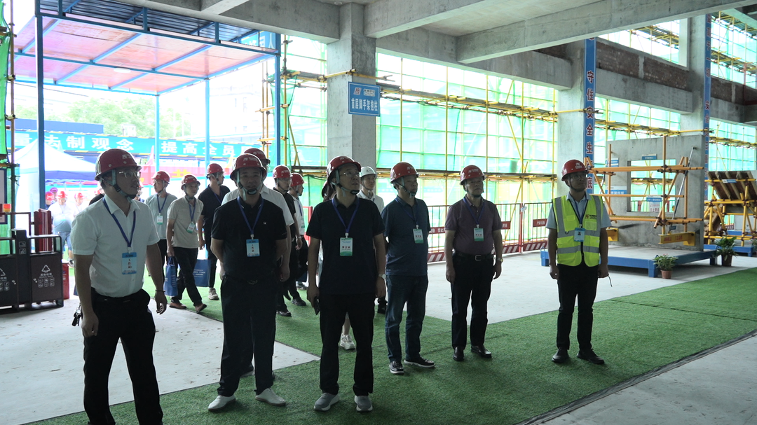 全市2024年度建筑工程质量安全标准化现场观摩活动在洞口县举行(图3)