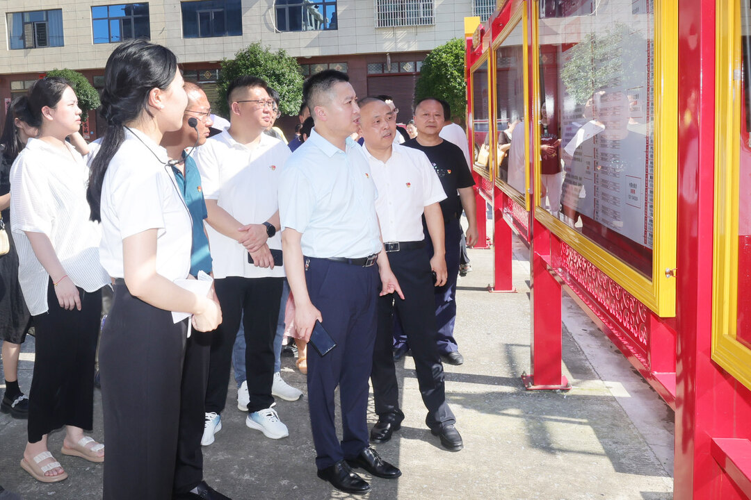 洞口县召开党建工作现场推进会  (图3)