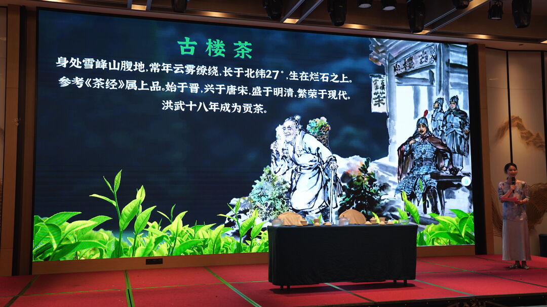 洞口雪峰茶产品发布推介会在郴州举行(图3)