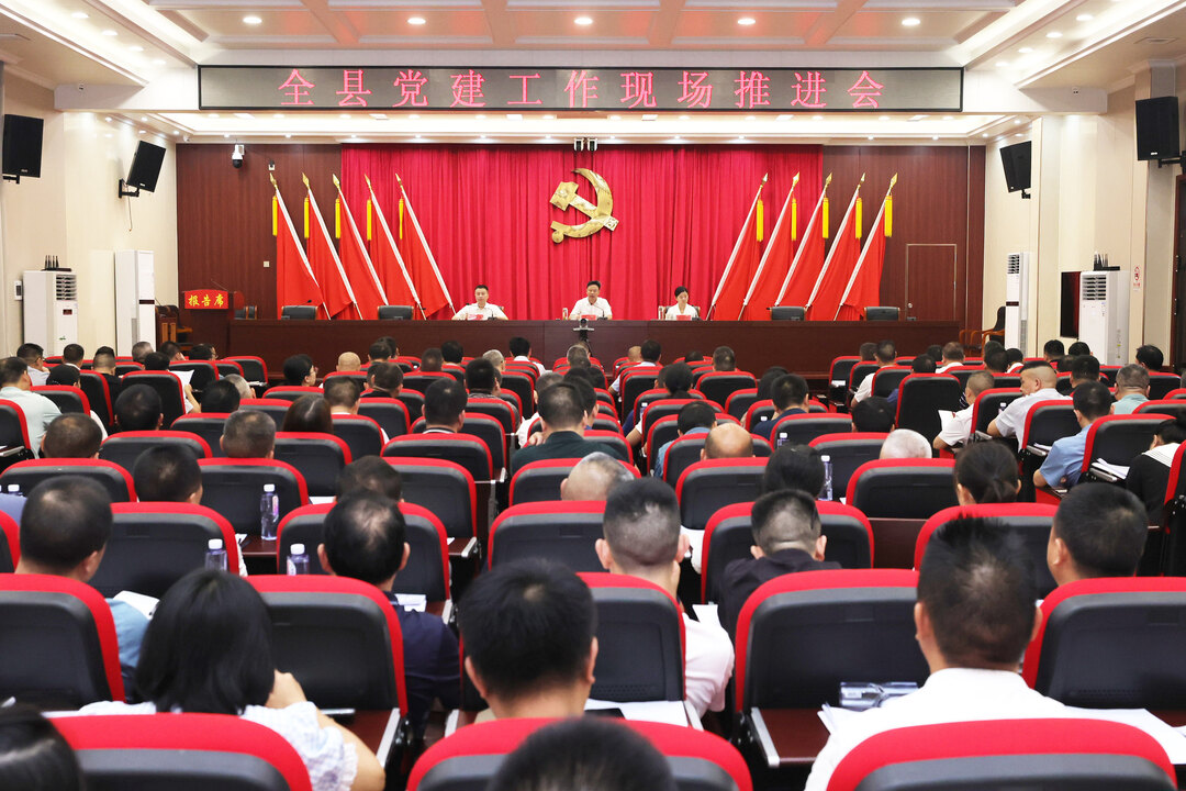 洞口县召开党建工作现场推进会  (图1)