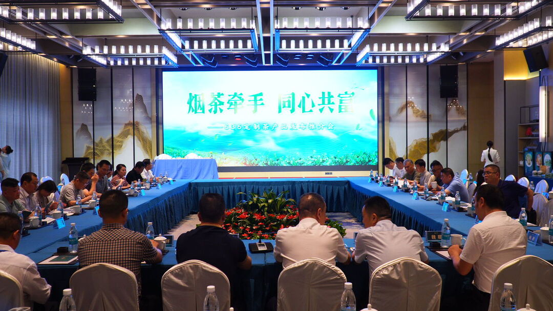 洞口雪峰茶产品发布推介会在郴州举行(图1)