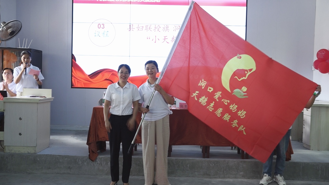 洞口县举行爱心妈妈“小天鹅”志愿服务队成立暨授旗仪式(图2)
