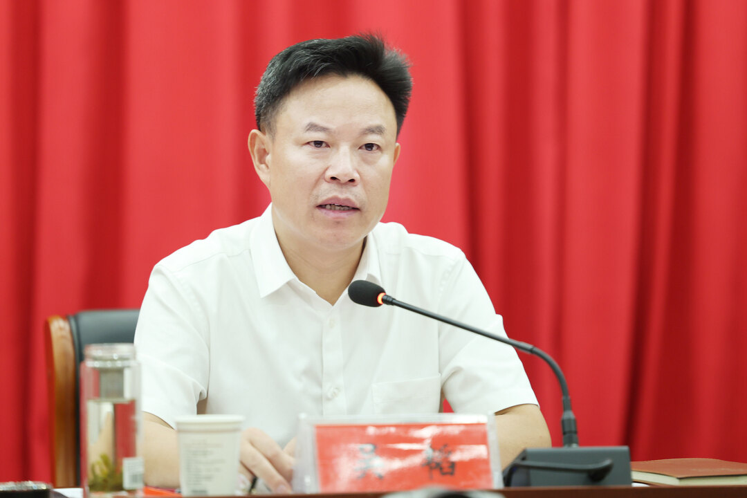 洞口县召开党建工作现场推进会  (图2)