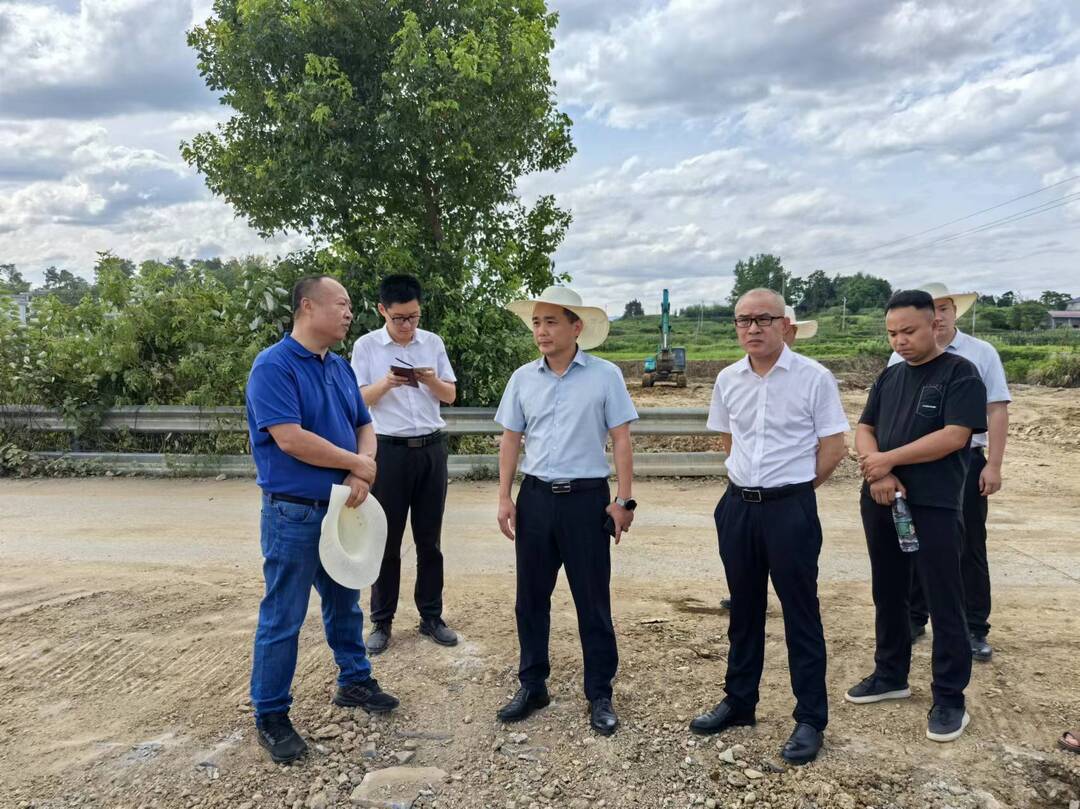贺永亮到高沙镇、黄桥镇督导中央生态环境保护督察交办件办理、重点项目建设等工作(图2)
