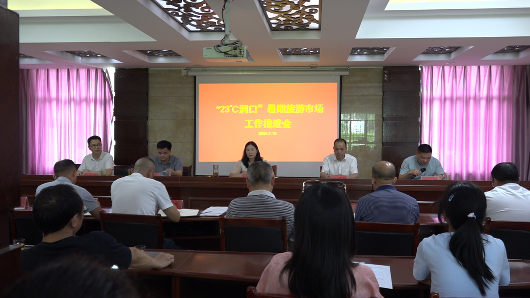 洞口县召开“23度洞口”暑期旅游市场工作推进会(图1)