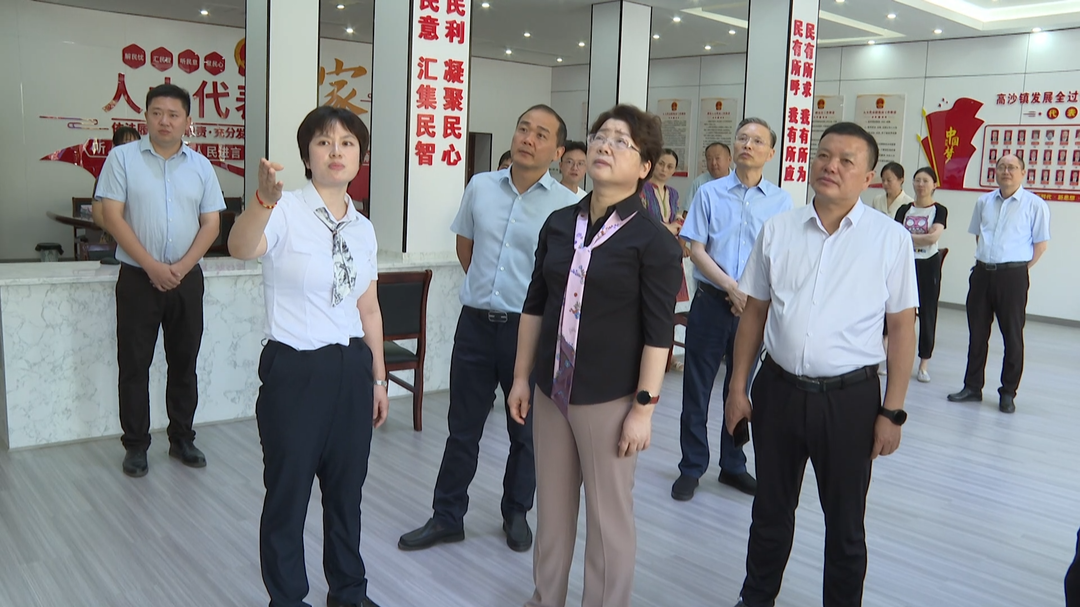 周迎春来洞口县调研人大工作并开展“五大”主题实践活动(图1)