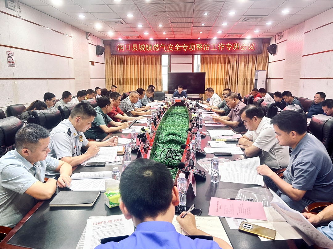 洞口县召开城镇燃气安全专项整治工作专班会议(图2)