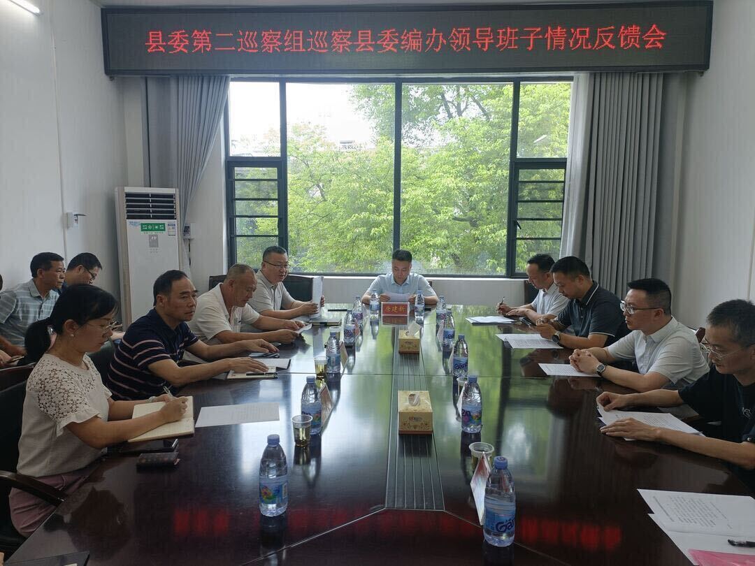 县委第二巡察组向洞口县委编办反馈巡察情况