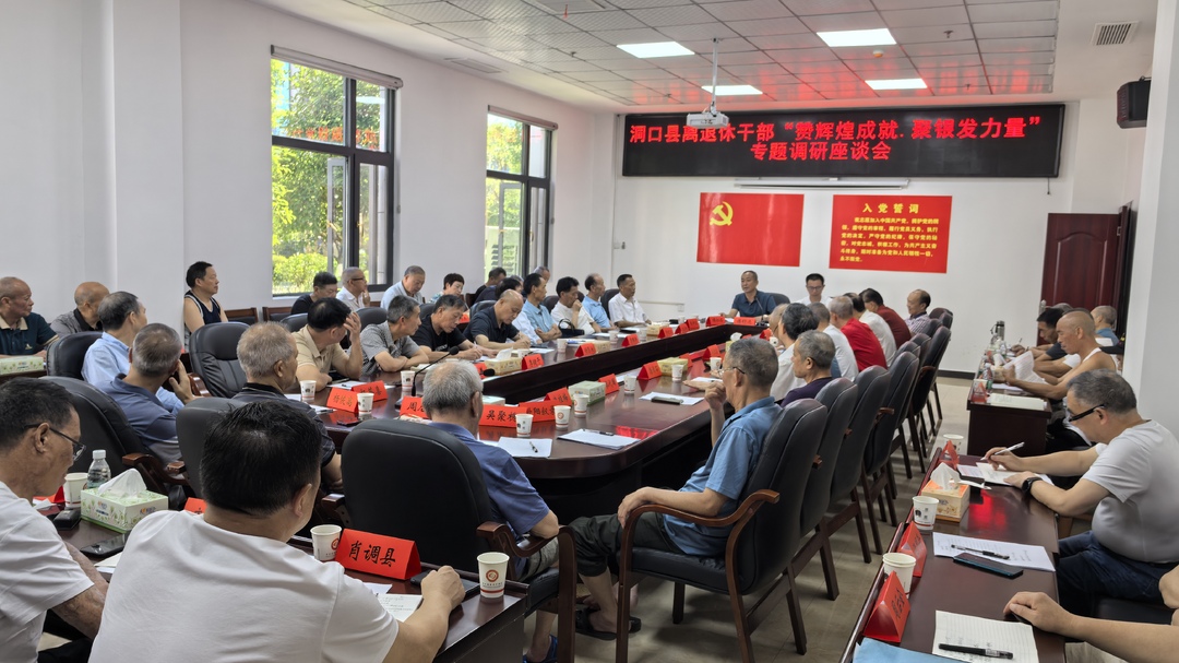 洞口县召开离退休干部“赞辉煌成就·聚银发力量”专题调研座谈会(图2)