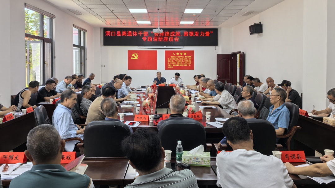 洞口县召开离退休干部“赞辉煌成就·聚银发力量”专题调研座谈会