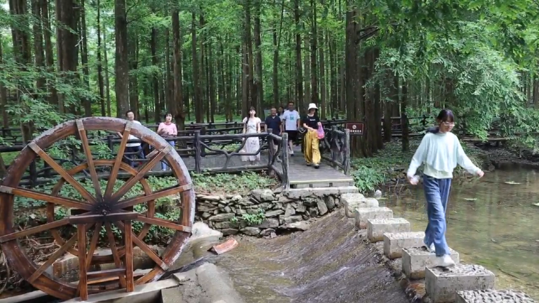 洞口：观日出看云海 这边风景独好(图1)