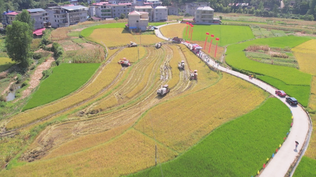 杨林镇举办水稻机收减损演示活动