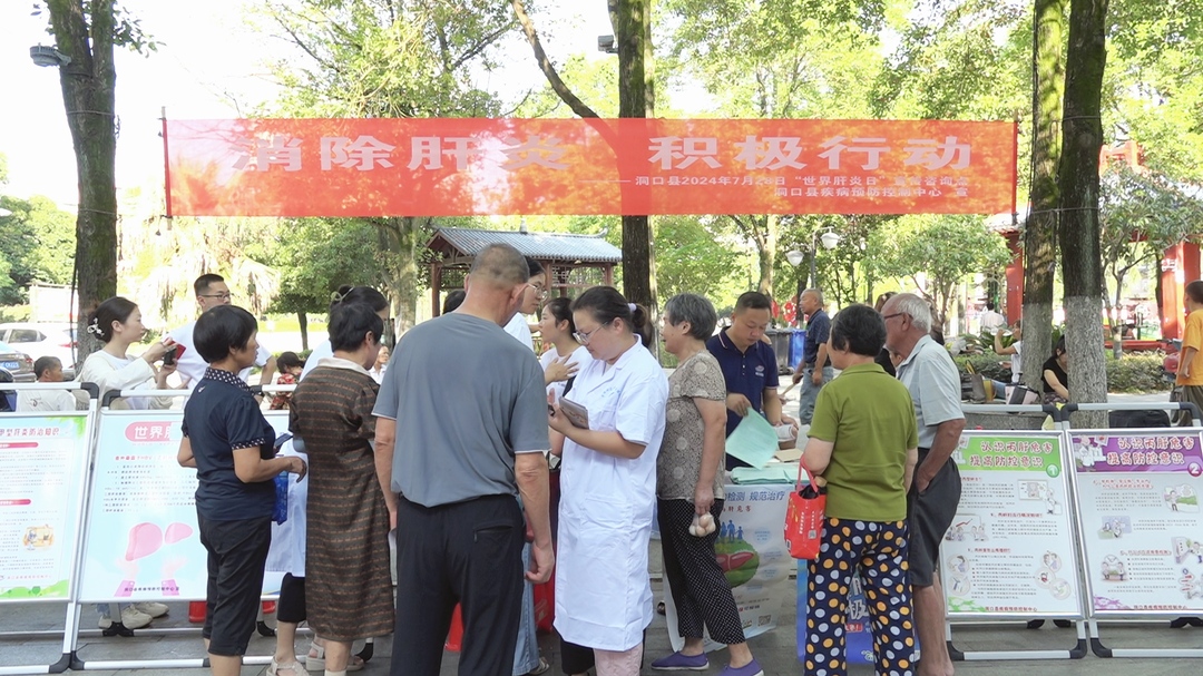 洞口縣開展“7.28世界肝炎日”宣傳活動