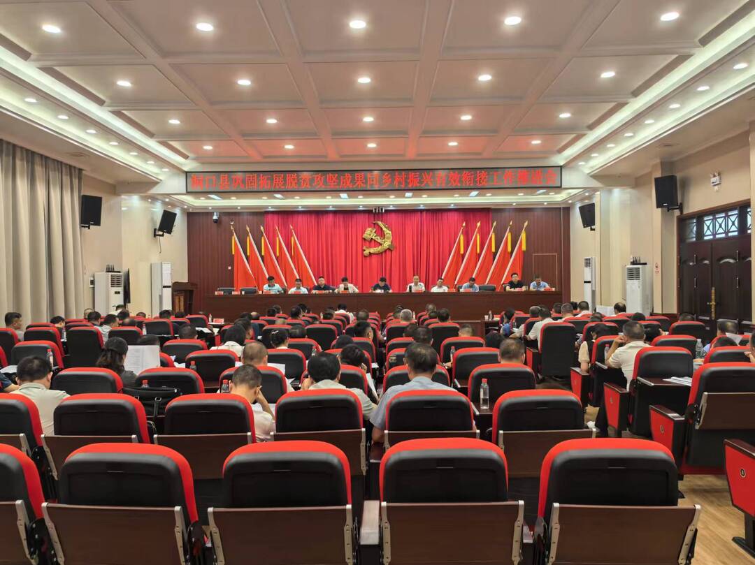 洞口县巩固拓展脱贫攻坚成果同乡村振兴有效衔接工作推进会召开(图1)