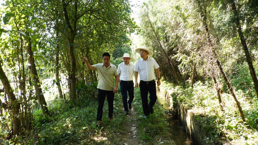 吴韬调研乡村振兴、基层治理和防旱抗旱等工作(图2)