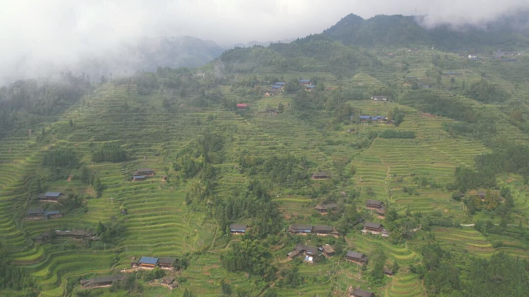洞口大马排村：层峦叠嶂 梯田入画