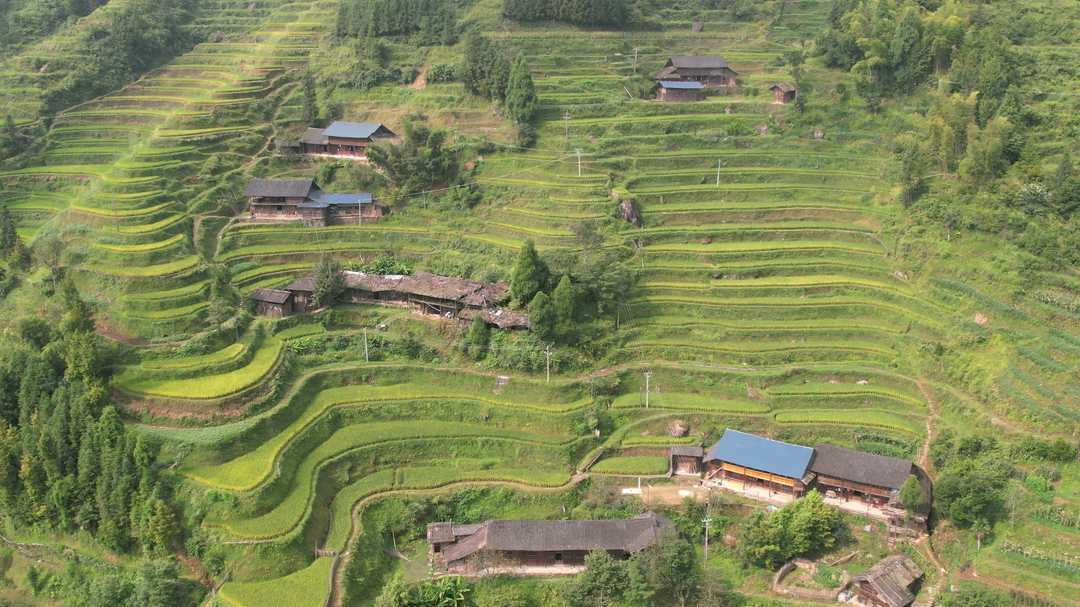 洞口大马排村：层峦叠嶂 梯田入画(图3)