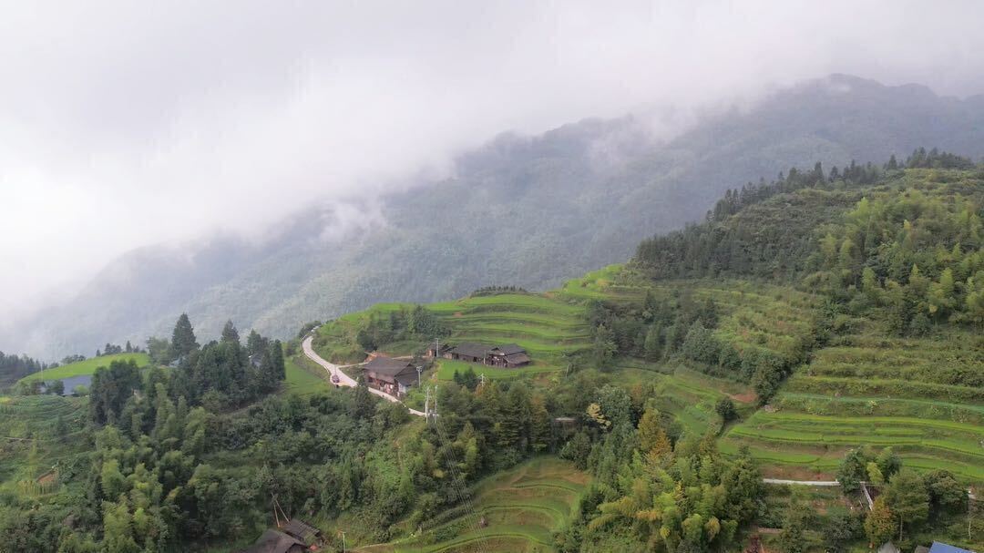龙坪山：云雾缭绕 美如画卷