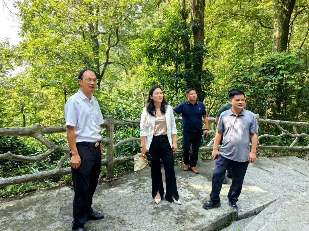 毛超林调研石柱镇乡村旅游发展(图2)
