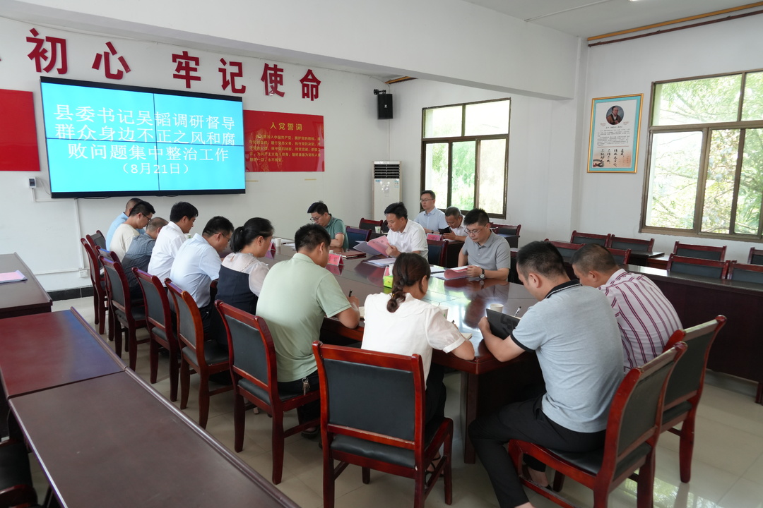 吴韬督导群众身边不正之风和腐败问题集中整治工作(图2)