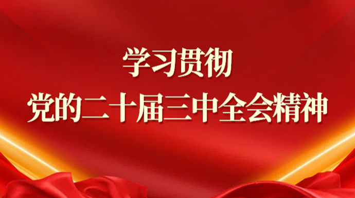 学习贯彻党的二十届三中全会精神