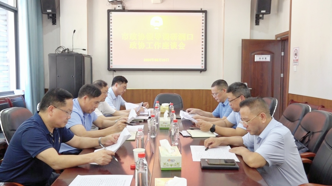 伍先明率队到洞口县调研政协工作(图3)