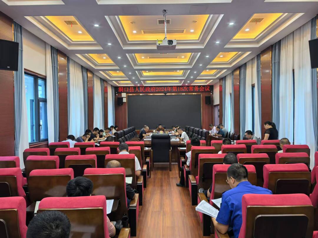 洞口县人民政府召开2024年第18次常务会议(图1)