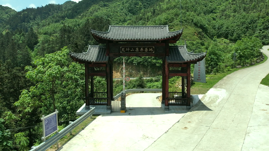 洞口龙坪山：清凉康养 火热消费(图1)