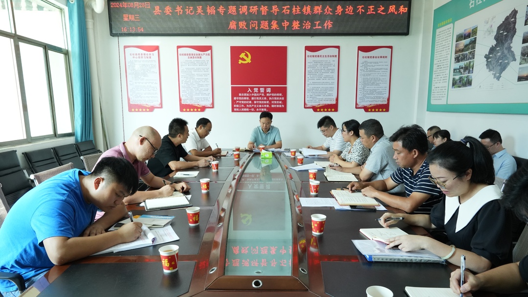 吴韬调研督导乡镇群众身边不正之风和腐败问题集中整治工作(图1)