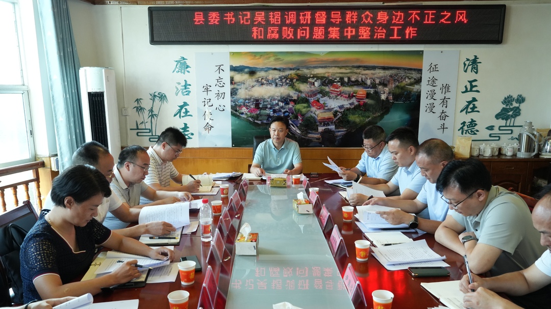 吴韬调研督导乡镇群众身边不正之风和腐败问题集中整治工作(图2)