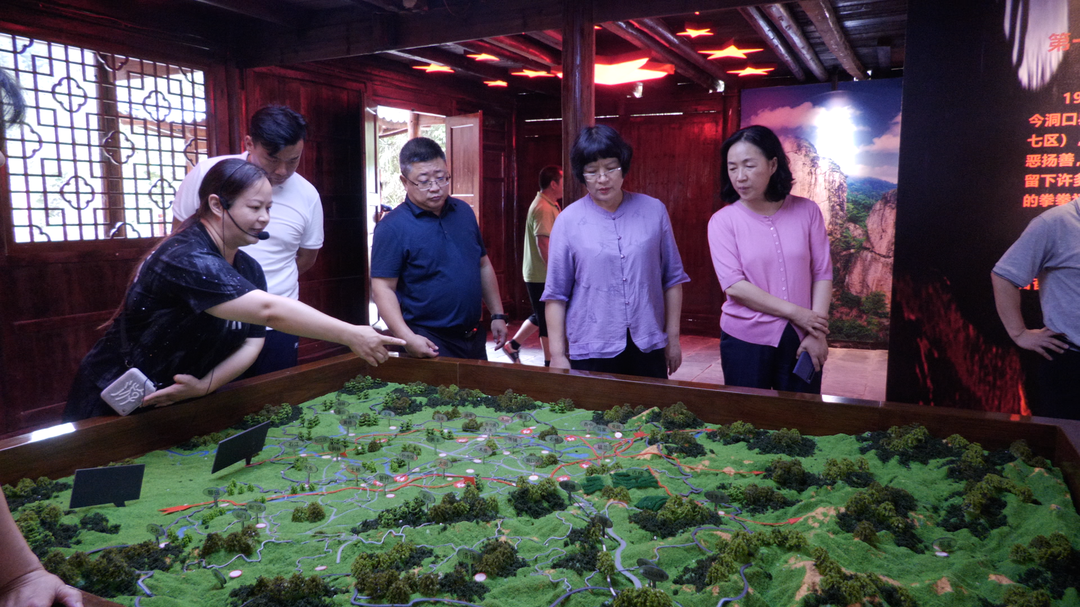 丰新妹来洞口县调研茶旅融合发展情况(图2)