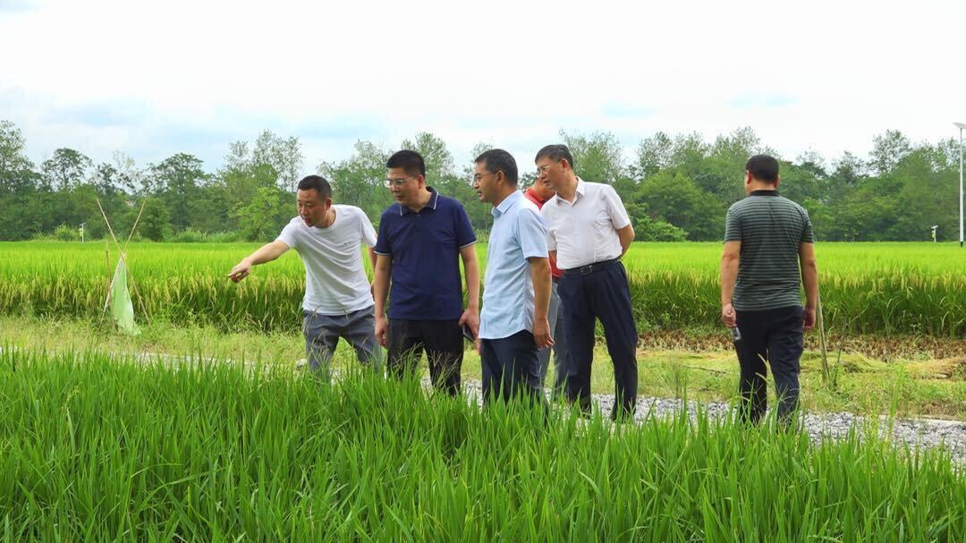 湖南海利集團(tuán)到洞口縣安南村調(diào)研鄉(xiāng)村振興駐村幫扶工作